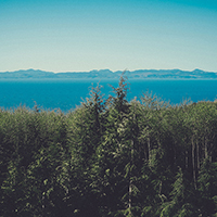 网站攻击工具手机版