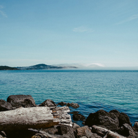 找可靠平台的网站攻击器