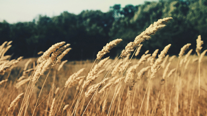 远程办公必备的网页在线DDOS压力测试