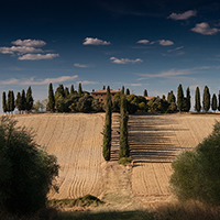 一键分享便捷的免费ddos平台攻击